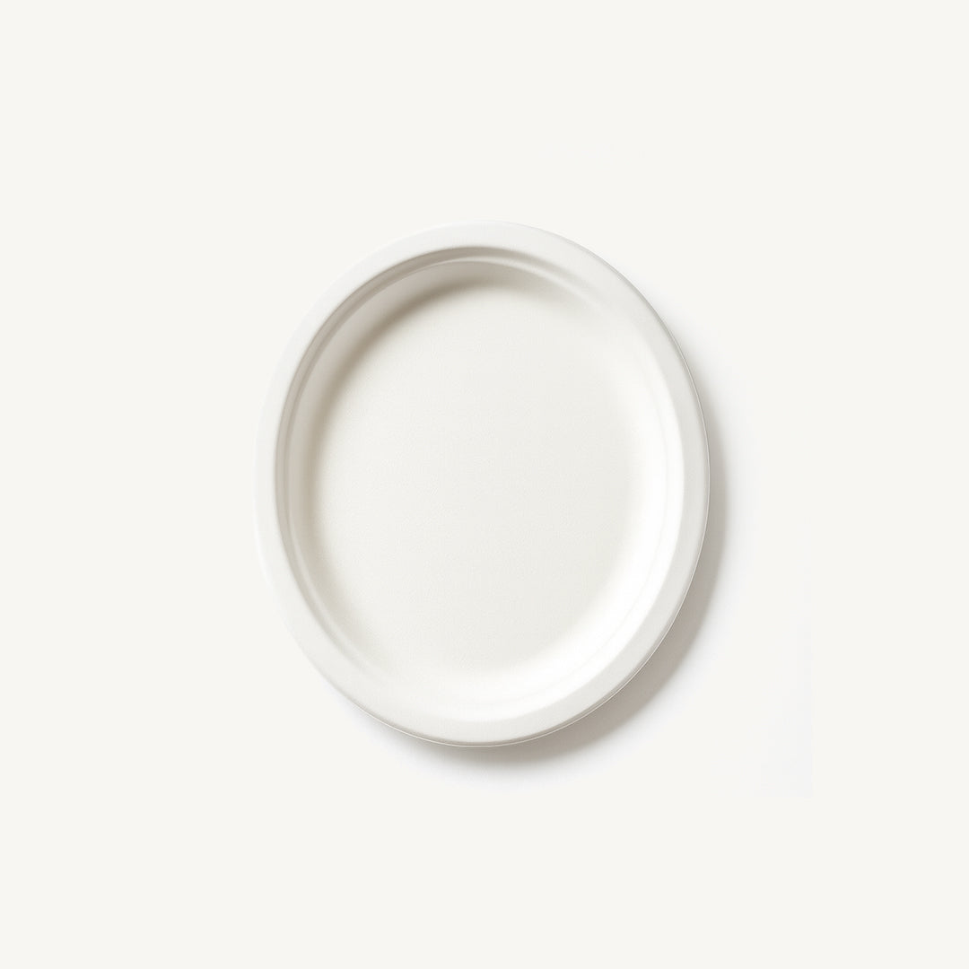 10 Inch Oval Plate