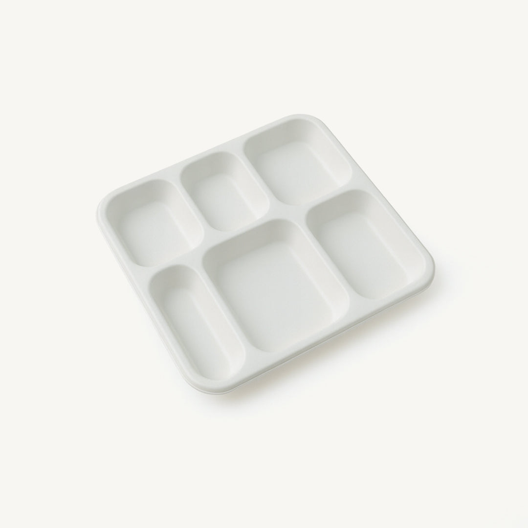 Dinner Plate 6 CP