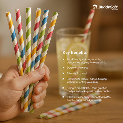 Paper Straw Mix Colour