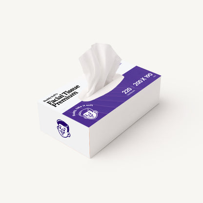 BuddySoft Premium 2-ply facial tissue box 220 sheets